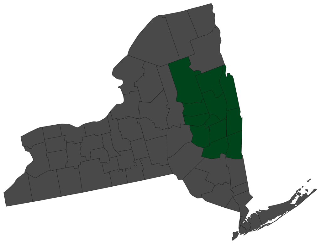 A map of New York State with counties in the eastern region shaded dark green, distinguishing the Albany/Schenectady/Troy Kegerreis DMA.