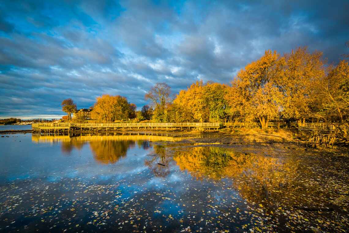 A wooden boardwalk reflecting golden autumn trees under a cloudy blue sky, situated along the waterfront in Harford County, Maryland.