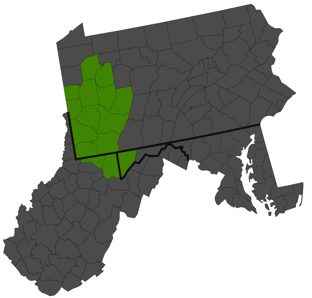 A map highlighting counties in western Pennsylvania that belong to the Pittsburgh DMA. The relevant counties are shaded in green.