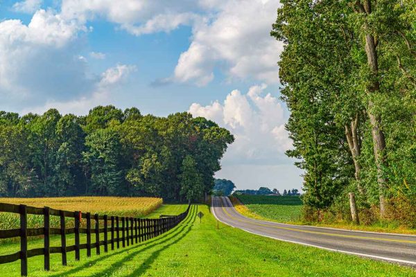 A scenic country road in Lancaster County, lined with a wooden fence, green pastures, and tall trees under a blue sky with fluffy clouds.
