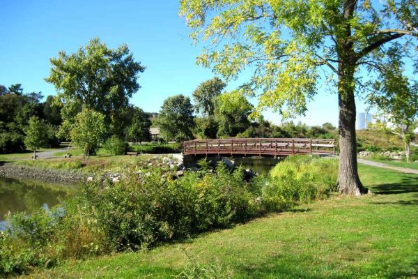 A wooden footbridge spans a calm, tree-lined pond in a scenic park, with lush greenery and a clear blue sky in the background located near the Hudson River in Kingston, New York.