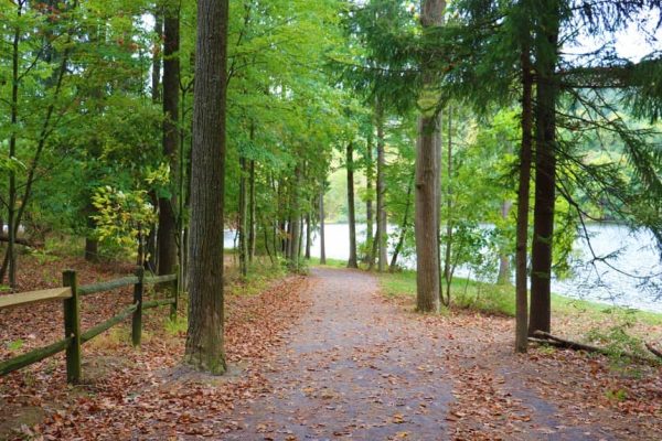 A tree-lined dirt trail at Cowans Gap State Park in Fulton County covered in fallen leaves winds along the edge of a lake, with a wooden fence on the left side.